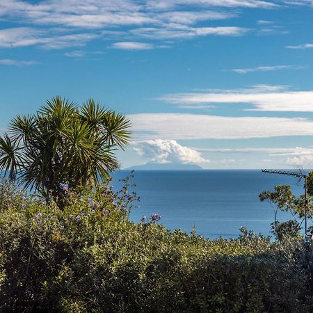 Belle View - Stay Waiheke Onetangi Exterior photo